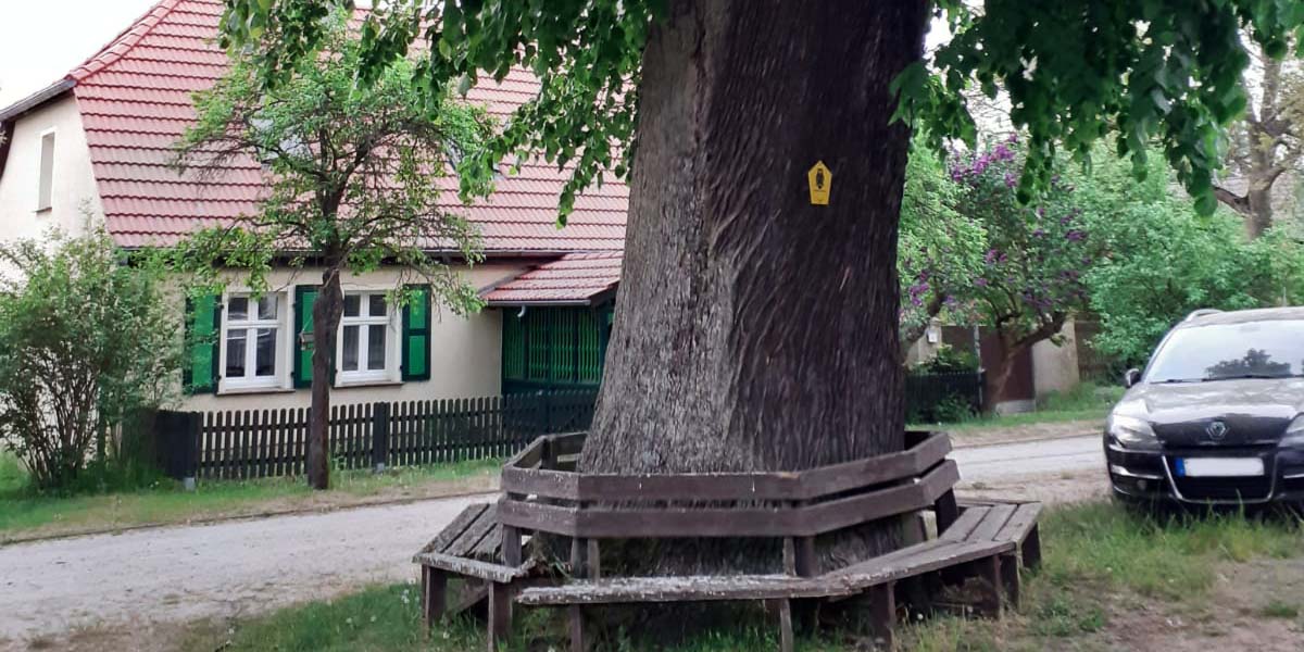 Lottomittel für Dorfplatz Ließen