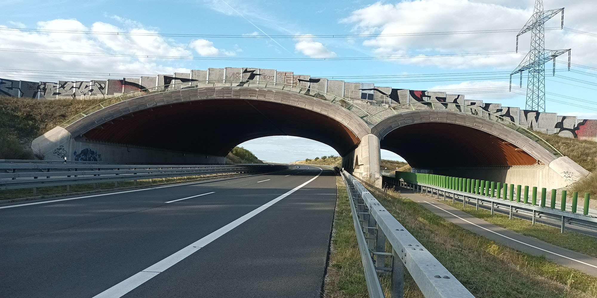 Grünbrücke B 101