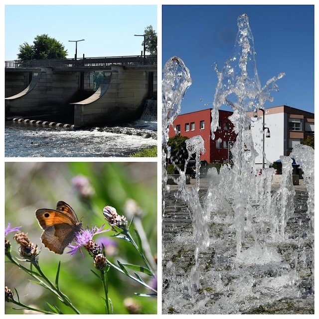 Klimaanpassung in Forst (Lausitz)
