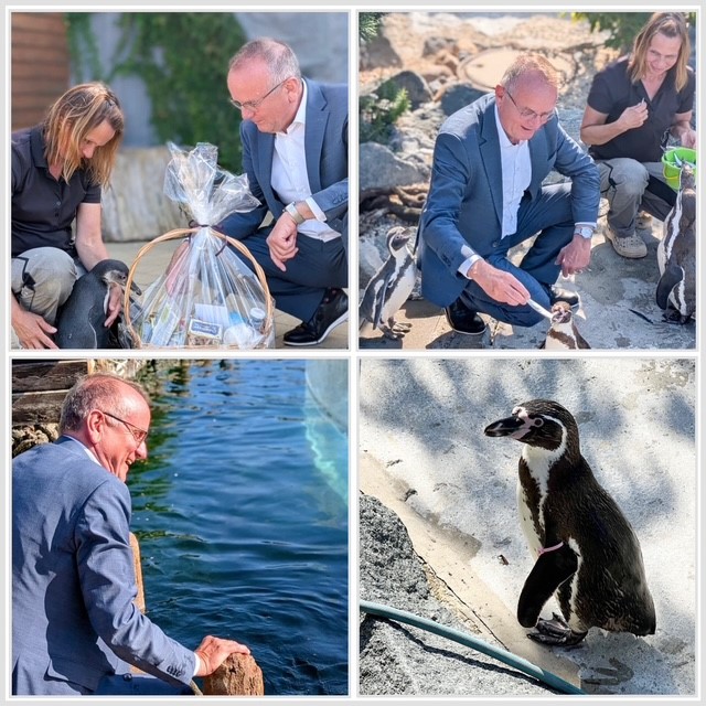Minister Tabbert besucht Paten-Pinguin Mila