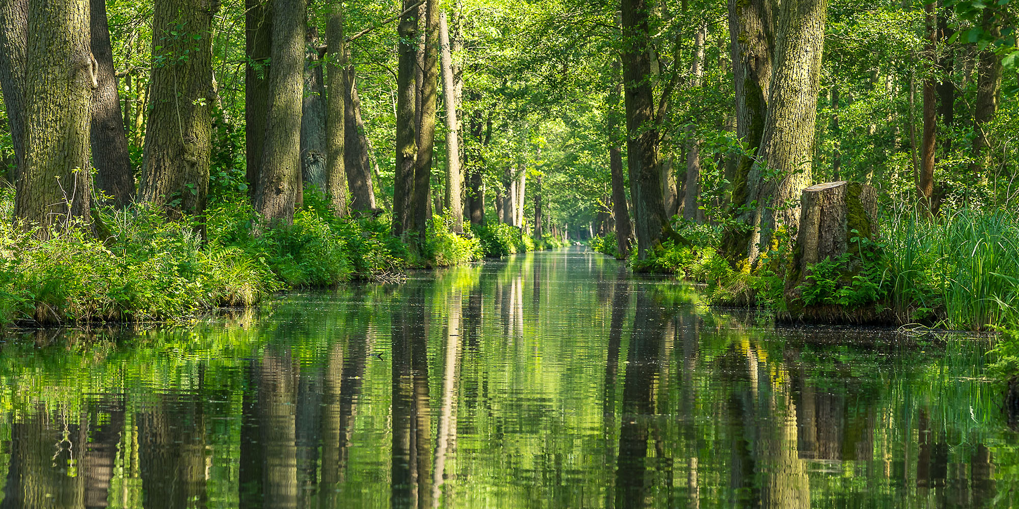 Unterspreewald Fließe wieder freigegeben 