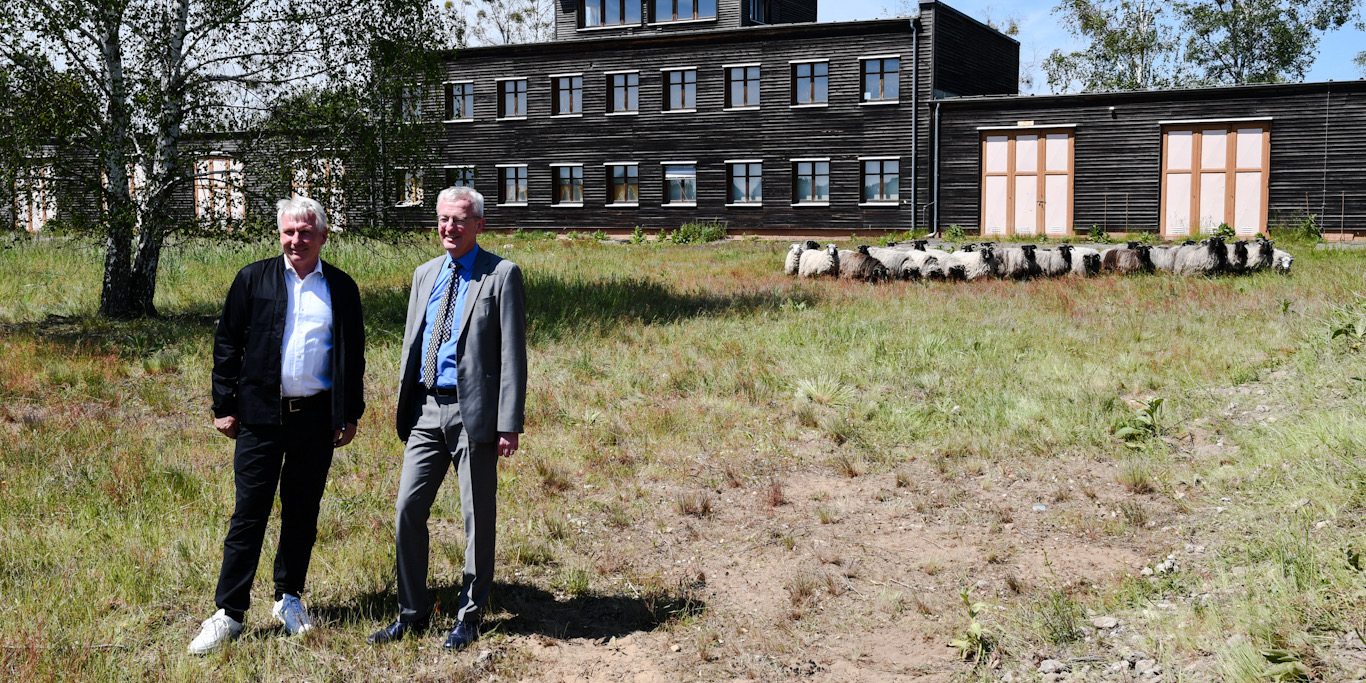 Döberitzer Heide – Infrastrukturminister Beermann übergibt EU-Mittel für bessere Heidepflege 