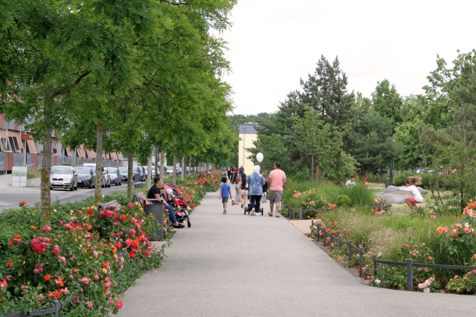 ...in der Gartenstadt Drewitz. Gleich zu Beginn der 90er machten sich die Potsdamerinnen und Potsdamer auf, ihre Wohngebiete zu gestalten.