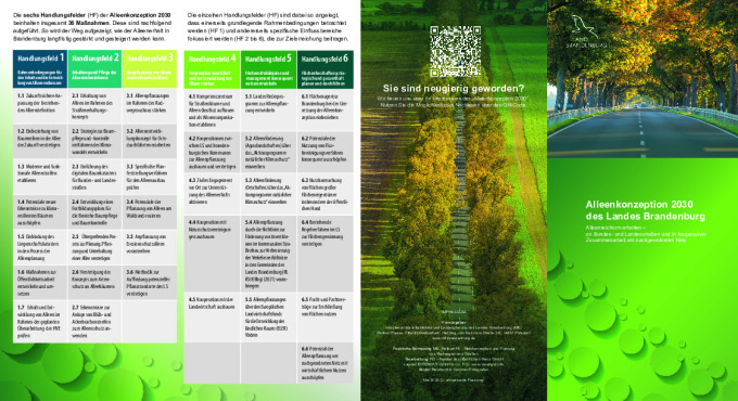 Bild vergrößern (Bild: Alleenkonzeption Flyer)