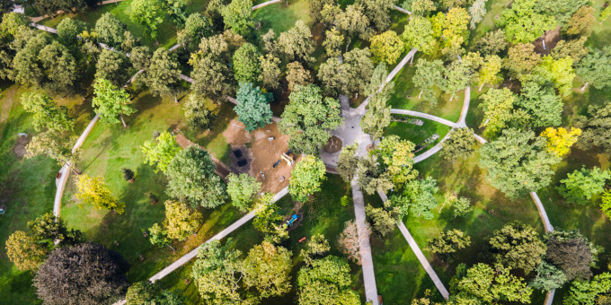 Park von oben mit vielen Bäumen und Wegen