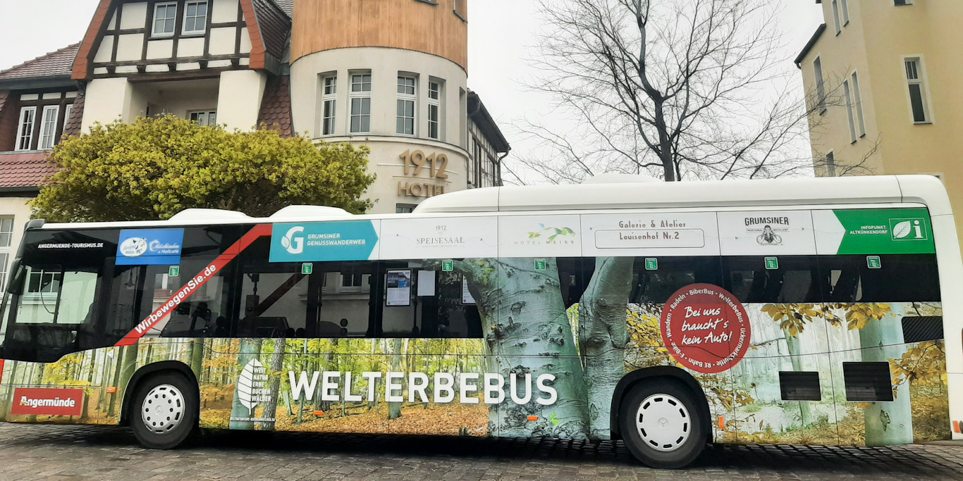 Ab jetzt unterwegs in der Uckermark: Der vom MIL geförderte Welterbebus (mit der Auschrift Welterbebus) bringt Besucher:innen zum Buchenwald in Grumsin und zurüc